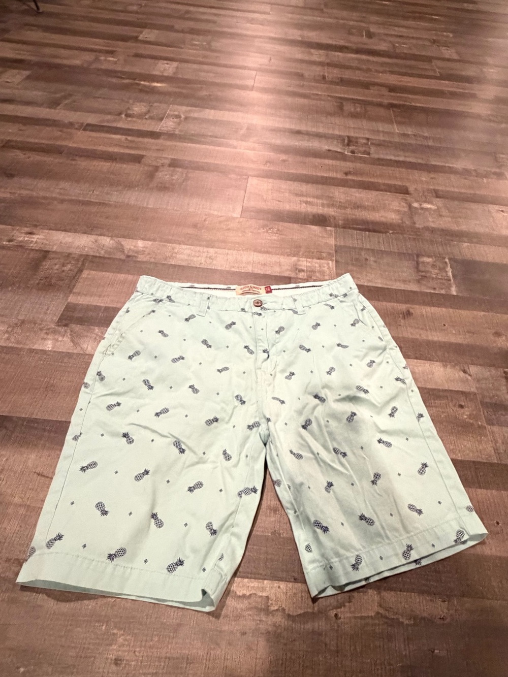 Hudson & Barrow Men’s Light Mint Pineapple Shorts